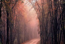 辽足对决阿尔希拉尔，一场胜负未定的战斗