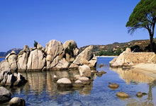 横滨FC迎战蔚山现代，谁能夺取胜利？