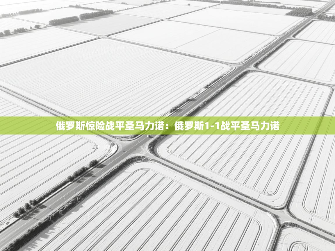 俄罗斯惊险战平圣马力诺：俄罗斯1-1战平圣马力诺  第2张