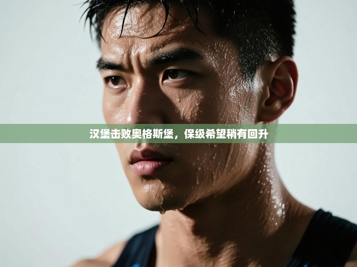 汉堡击败奥格斯堡，保级希望稍有回升  第1张