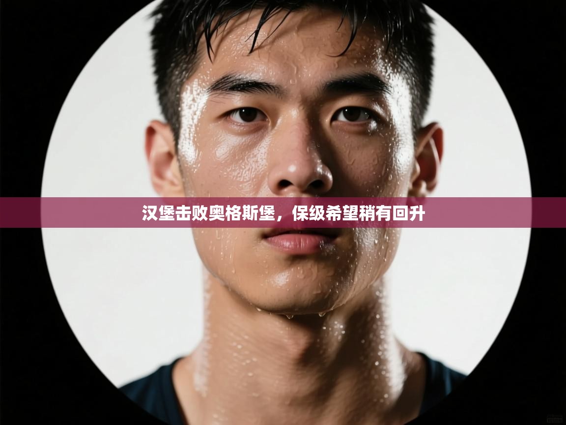 汉堡击败奥格斯堡，保级希望稍有回升  第2张